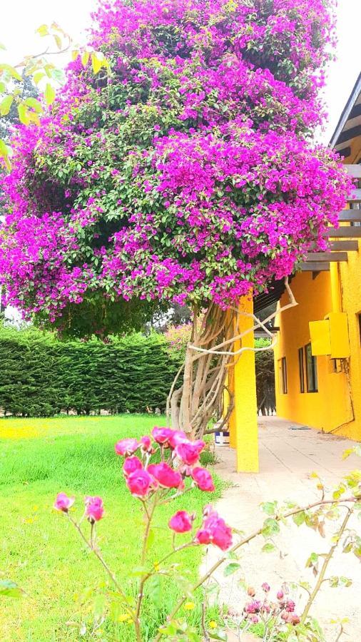 Casa Felice ξενώνας Λα Σερένα Εξωτερικό φωτογραφία