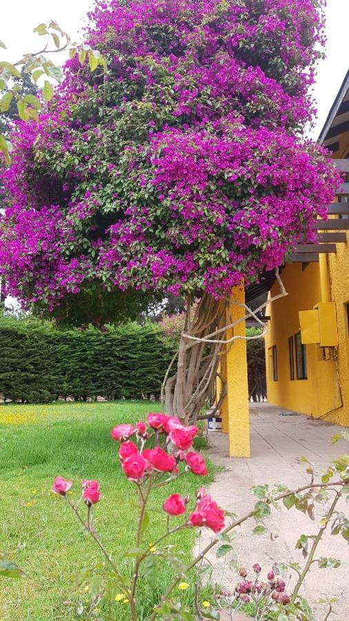 Casa Felice ξενώνας Λα Σερένα Εξωτερικό φωτογραφία