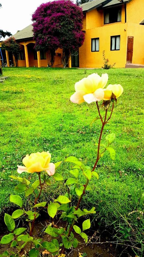 Casa Felice ξενώνας Λα Σερένα Εξωτερικό φωτογραφία