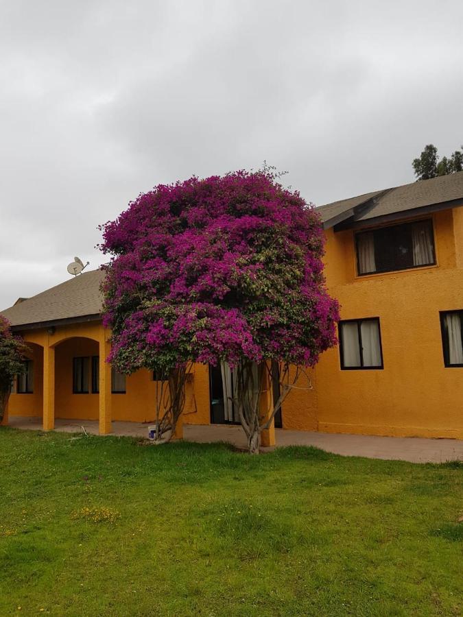 Casa Felice ξενώνας Λα Σερένα Εξωτερικό φωτογραφία