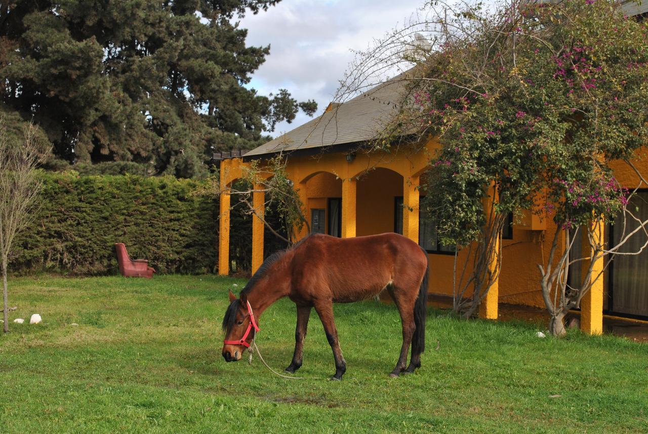 Casa Felice ξενώνας Λα Σερένα Εξωτερικό φωτογραφία