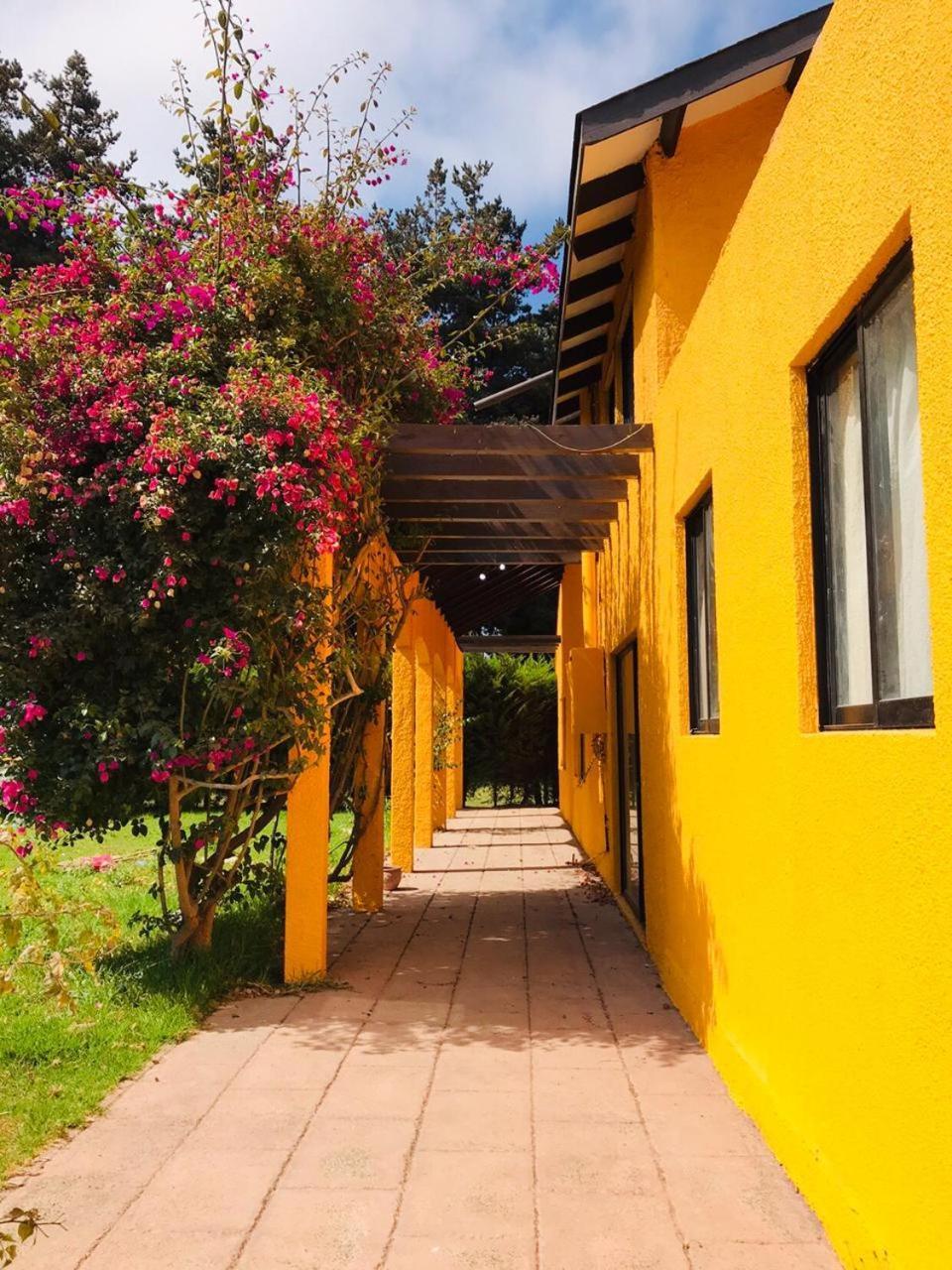 Casa Felice ξενώνας Λα Σερένα Εξωτερικό φωτογραφία